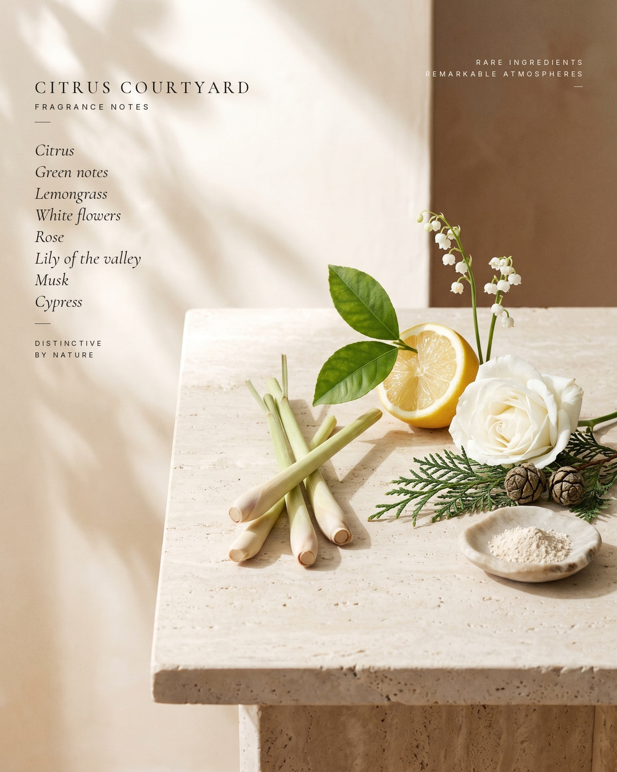 Citrus Courtyard fragrance notes — ingredients still life