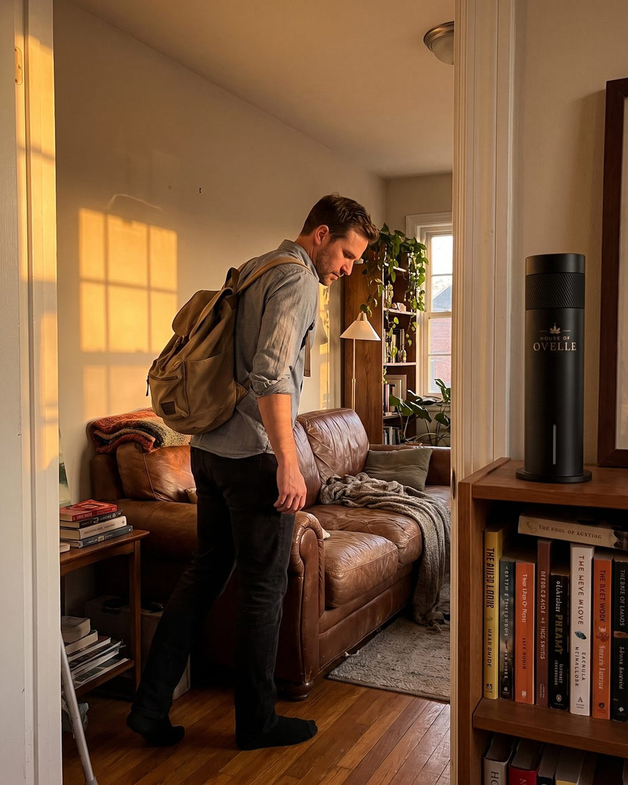 Ovelle Air on a bookcase by the front door as someone walks in at home