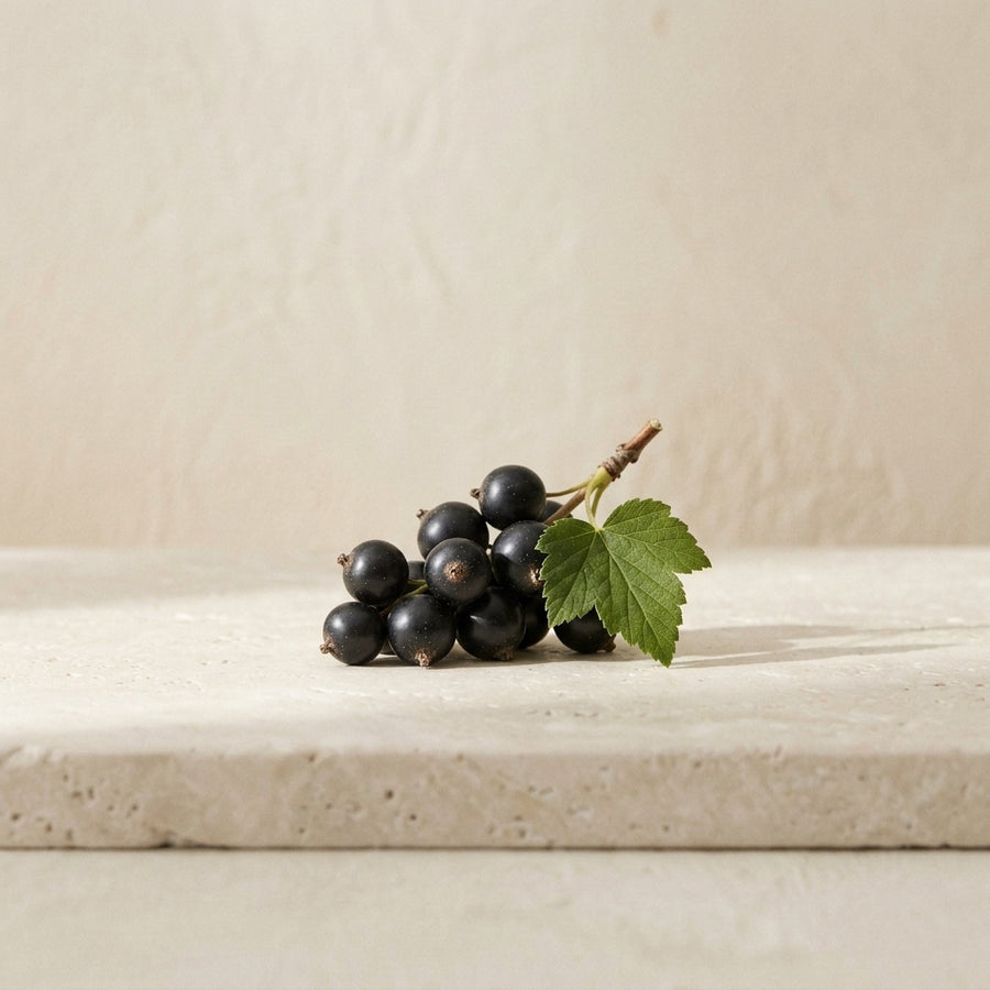 Blackcurrant