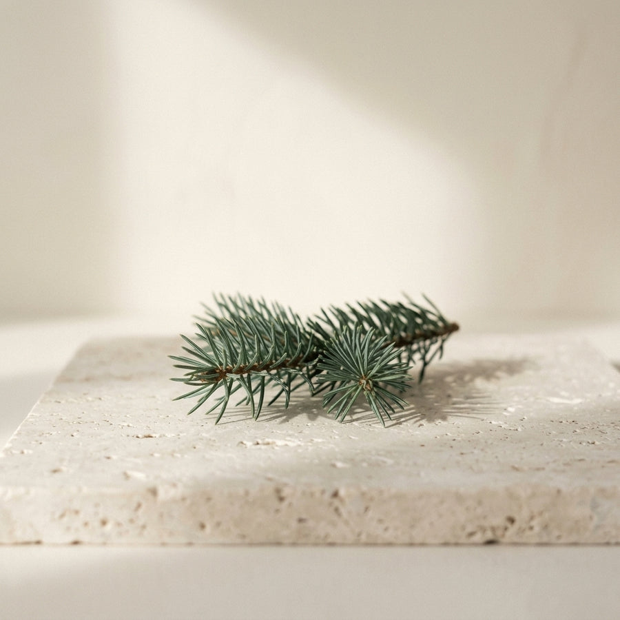 Fir