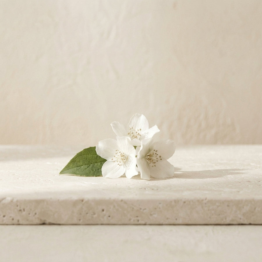 jasmine