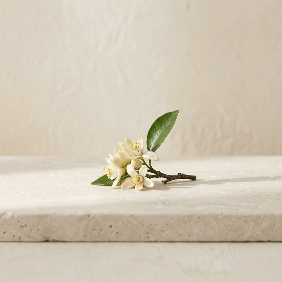 orange blossom