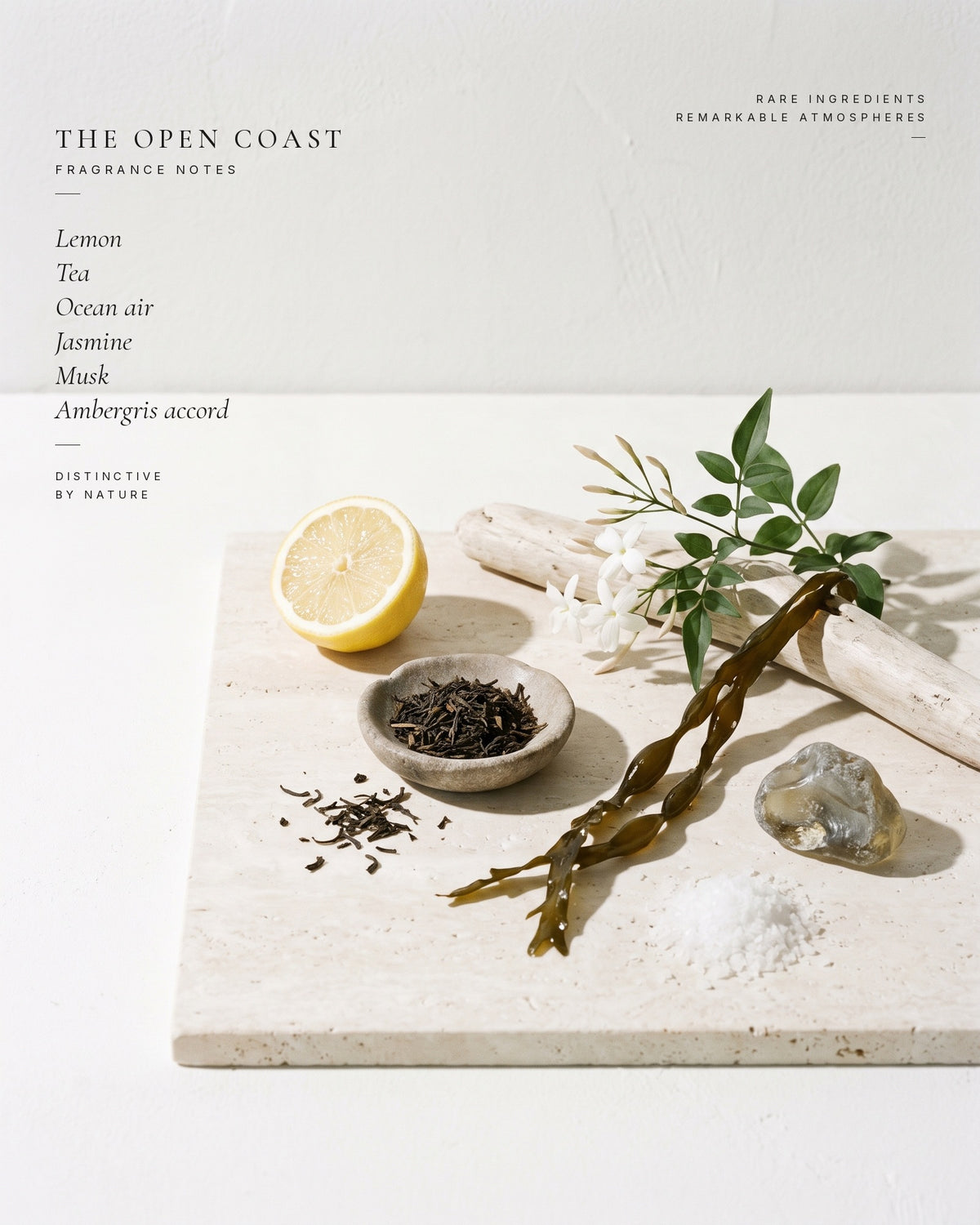 The Open Coast fragrance notes — ingredients still life