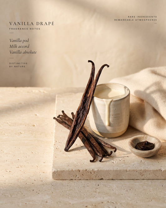Vanilla Drapé fragrance notes — ingredients still life